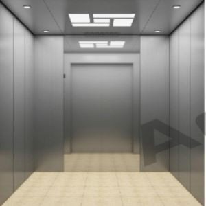 Elevator Teithwyr Gofod Mawr