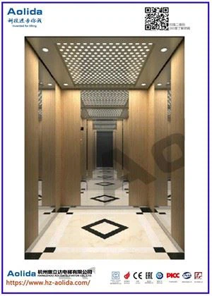 elevator ar gyfer tŷ tref